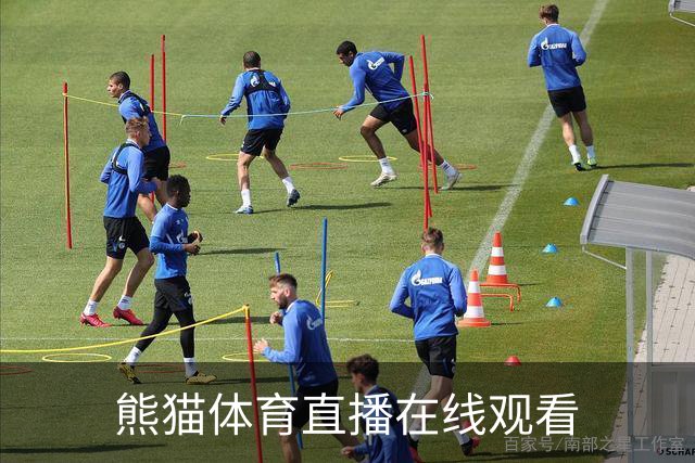 熊猫体育直播在线观看公司简介